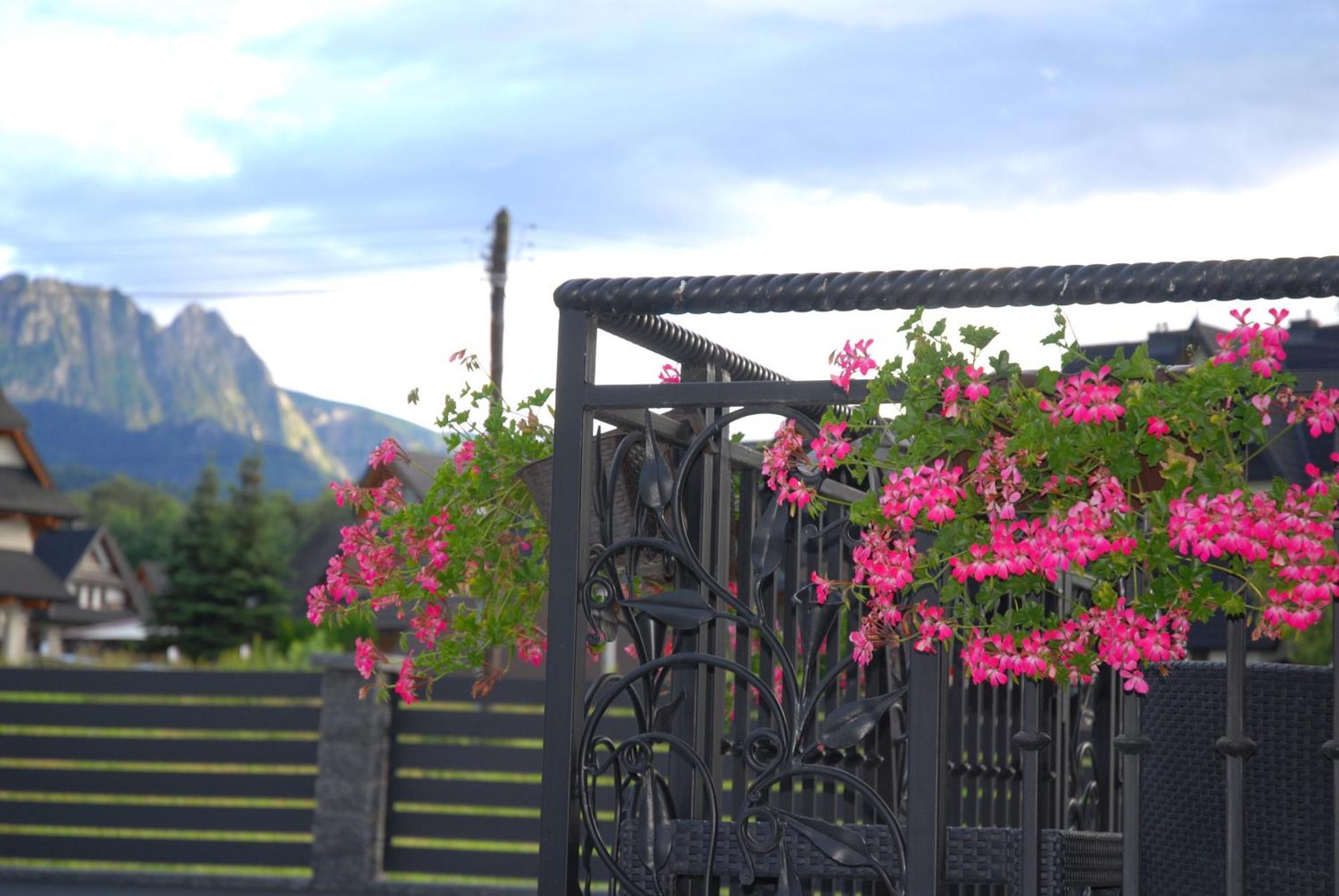"Czarna Turnia "Zakopane Bed & Breakfast Екстериор снимка