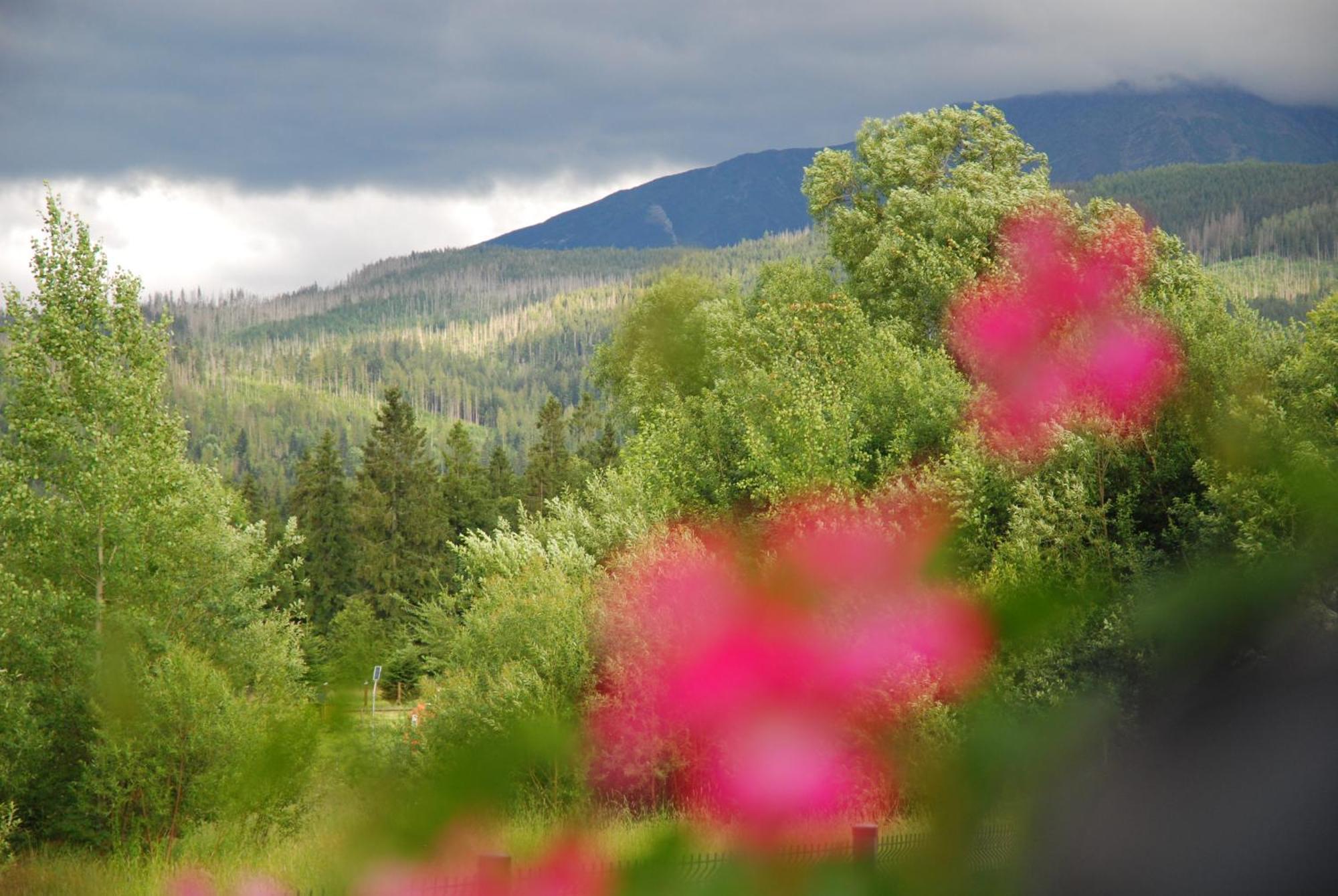 "Czarna Turnia "Zakopane Bed & Breakfast Екстериор снимка