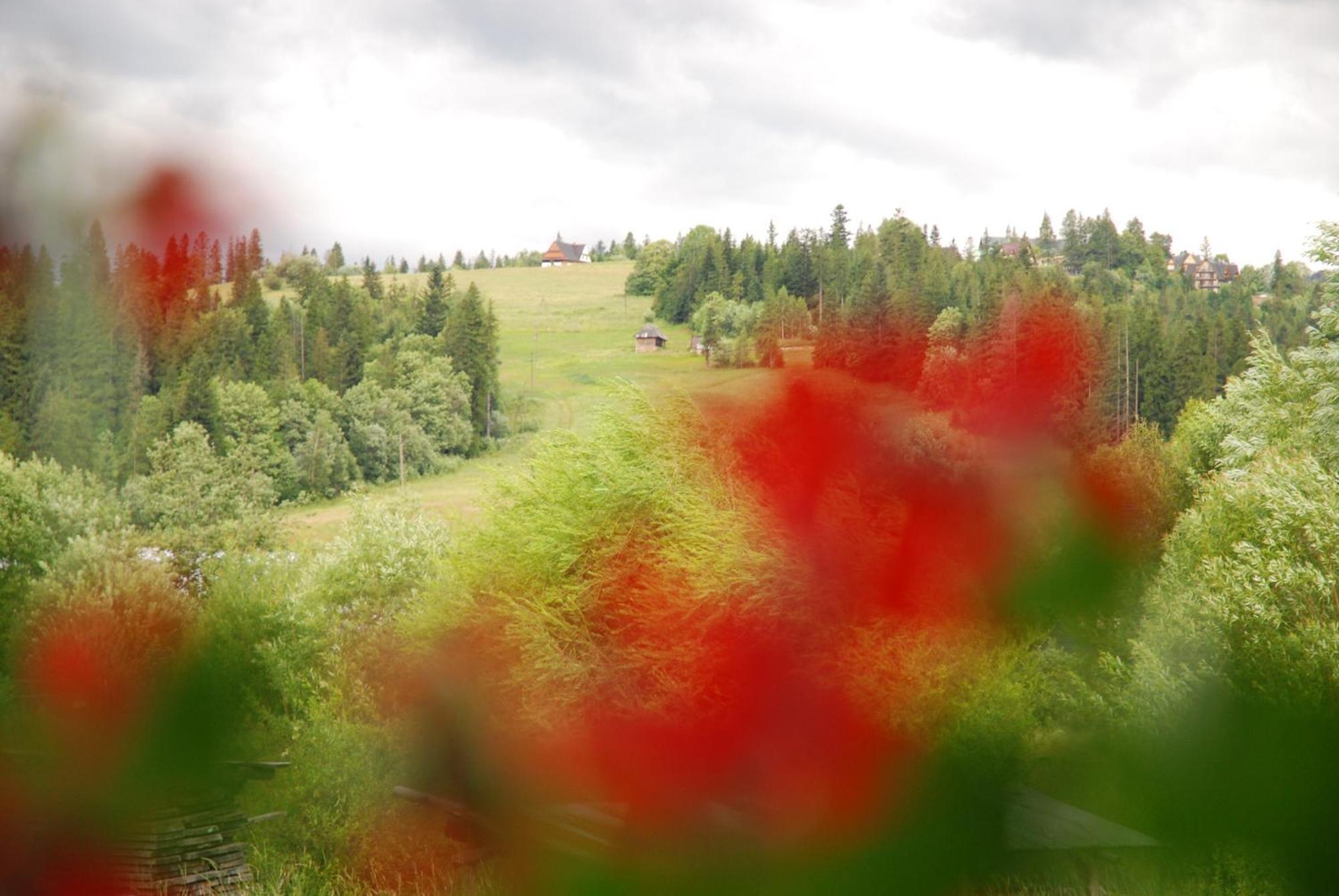 "Czarna Turnia "Zakopane Bed & Breakfast Екстериор снимка
